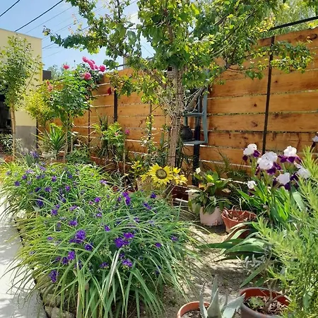 Casa George Mamaia Nord Gasthof Năvodari